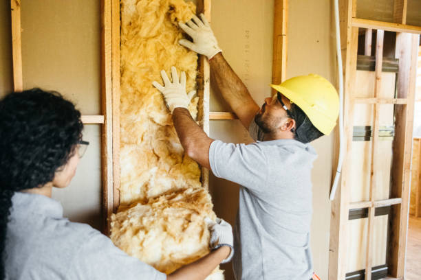 Best Spray Foam Insulation  in Kokomo, IN